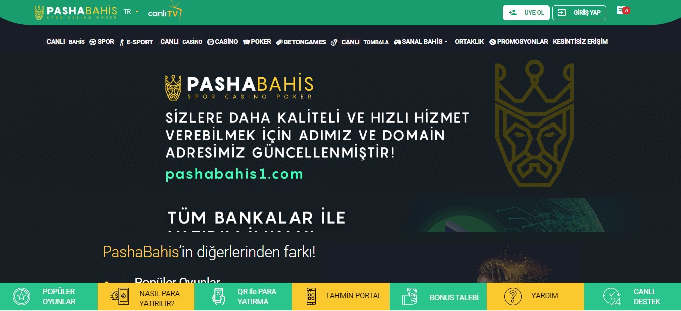 Pashabahis Sitesi Belge Talebi Şikayetleri