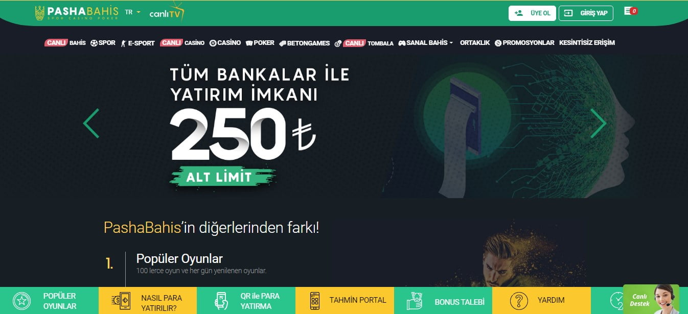 Pashabahis Online Para Yatırma Çekme Şikayetleri